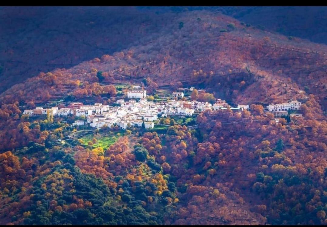 Pujerra Casa Rural Los Jilgueros מראה חיצוני תמונה